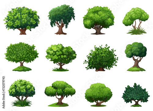 Landscaping shrub plants. Detailed vecor wood shrubs set, cartoon bushes with green foliage isolated illustration photo