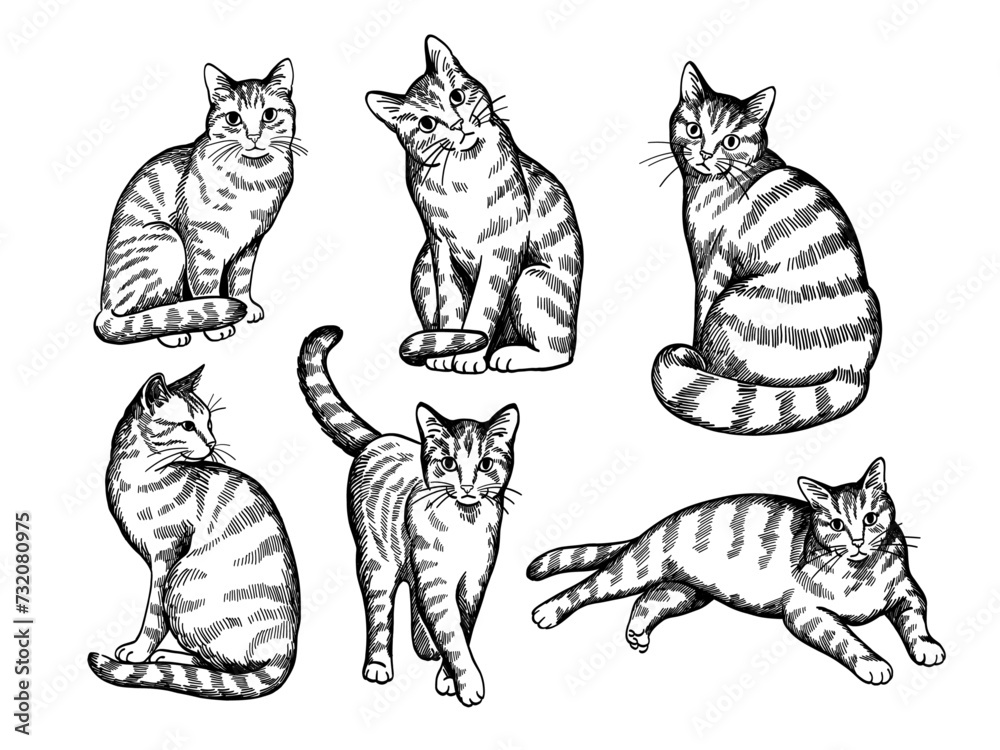 hand drawn cats pattern