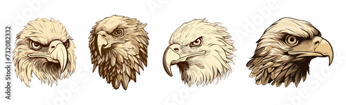 Vintage style eagles heads. Isolated engraving bird head, proud and seriously hawk. Wild animals elements with feathers, vector collection