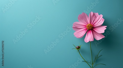 Minimalist photo with a single flower  symbolizing a mother s love and nurturing presence.