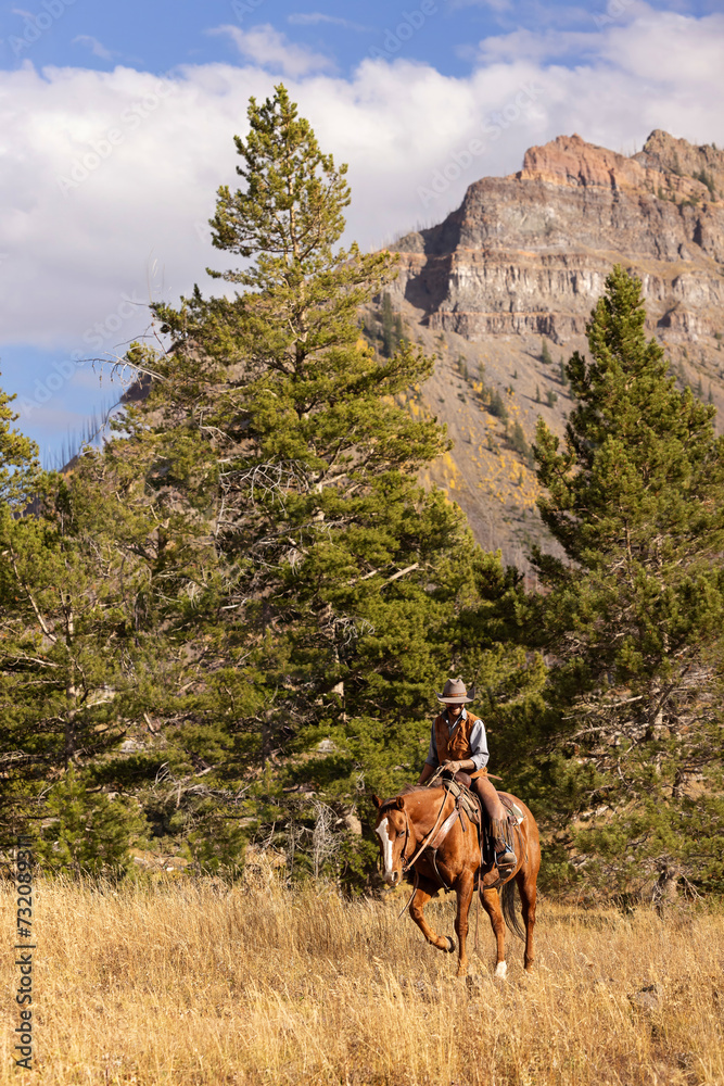Cowboy riding sorrel quarter horse in Mountains