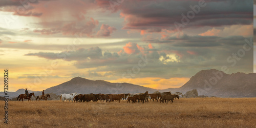 Mares and Foals golden hour wyoming sunset sunrise sky wranglers rancher photo