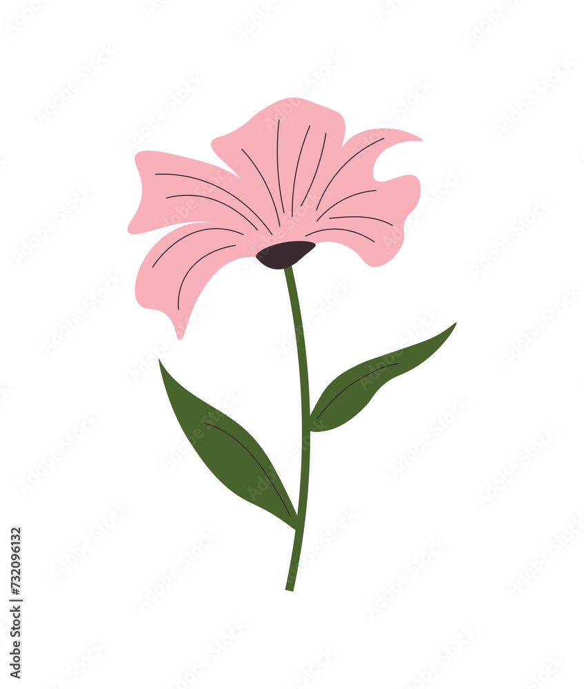 Meadow wild flower. Botanical vector illustration. Flowering plant. Flower plant blossomed. Hand drawn botanical illustration. Isolated vector on white background. Meadow wild flower. Botanical vector illustration. Flowering plant. Flower plant blossomed. Hand drawn botanical illustration. Isolated vector on white background.