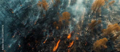 Parts of the green dry forest were destroyed by a forest fire seen from above.