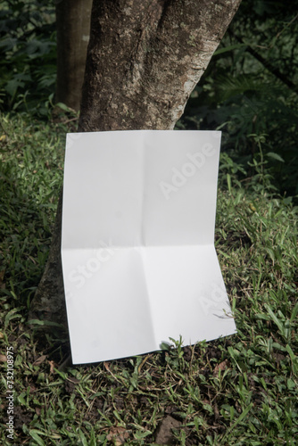 Blank Poster template for design above the leaves, mockup poster nature minimalist calm white 4 (ID: 732108975)