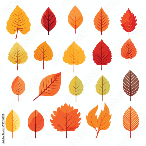 Autumn leaves set isolated on white background.