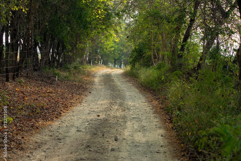 Obraz premium paisaje rural