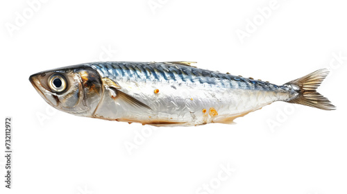 sardine fish cutout isolated on white, side view on transparent png background 