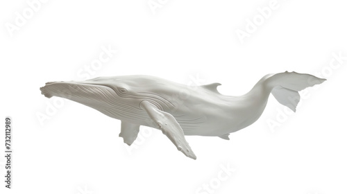 white whale isolated on white side view on transparent png background	 photo
