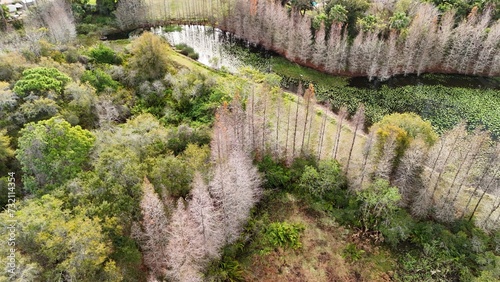 A drone photo of the water basin with cedar trees around the stormwater management pond forms an aerial view.