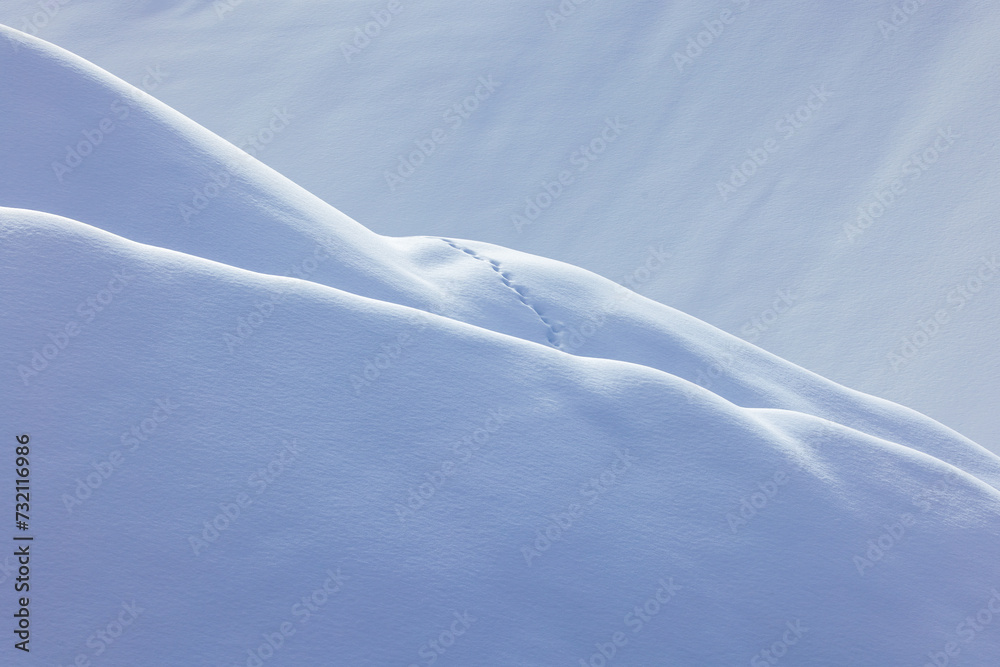 Hiking in Blizzard Whiteout Dunes