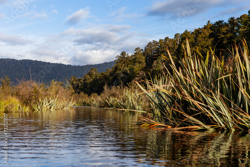 Westland Tai Poutini National Park, South Island, New Zealand photo