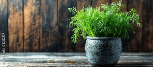 A houseplant sits on a wooden table in a flowerpot, bringing a touch of nature into the building with its green foliage.