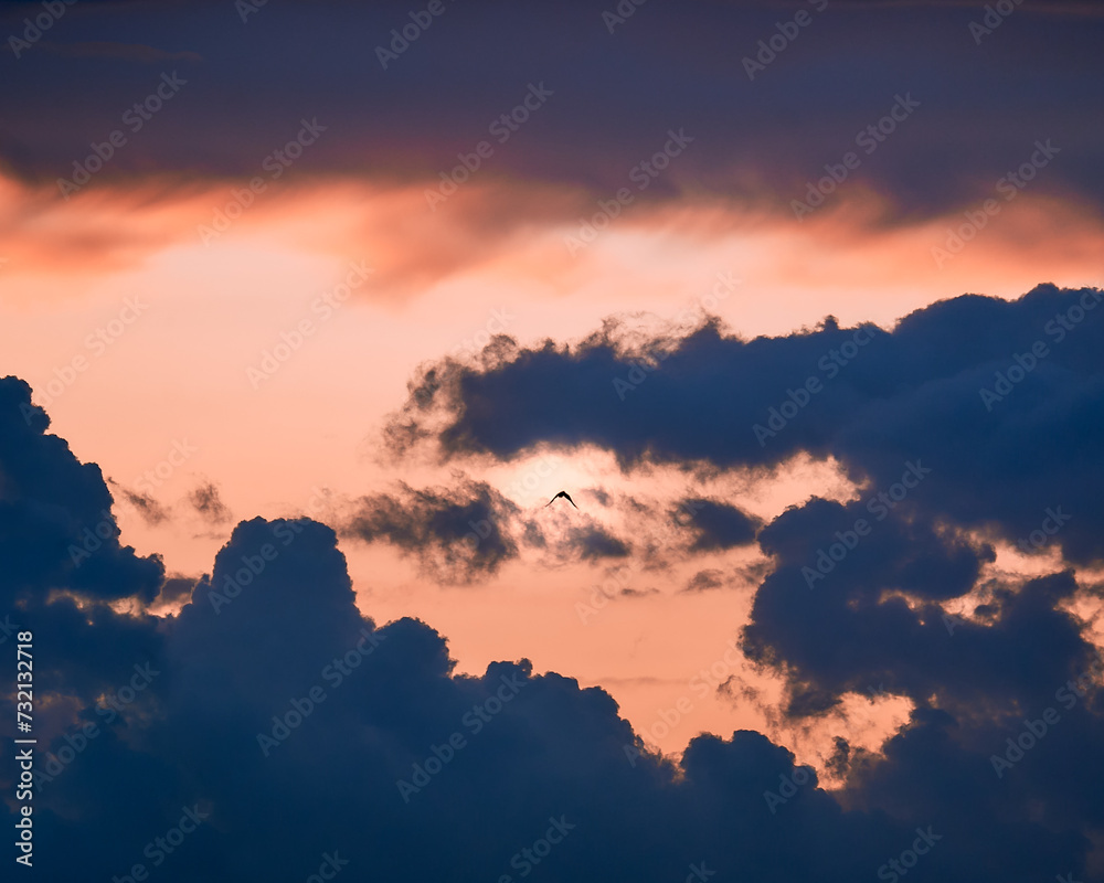 Dramatic dark blue cloudy sky. Pink and orange sunset sky background