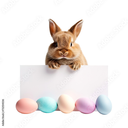 Adorable bunny holding Easter banner in blank for copy space over isolated transparent background