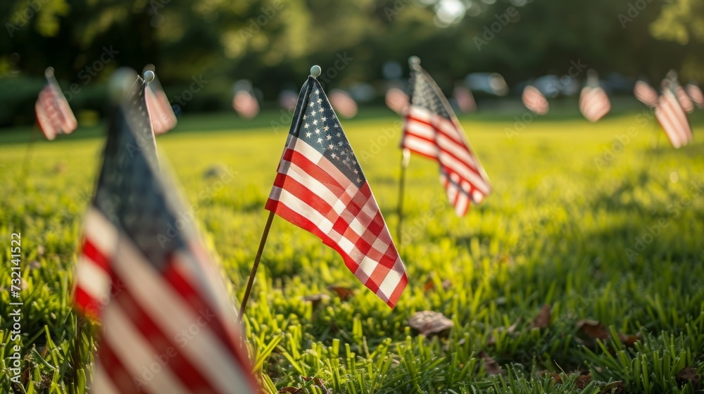 American Flags in Grass on Memorial Field