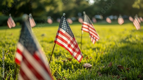 American Flags in Grass on Memorial Field