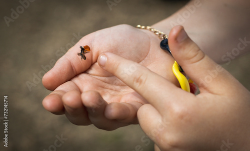 Hands of a girl with a flying ladybug in the park.