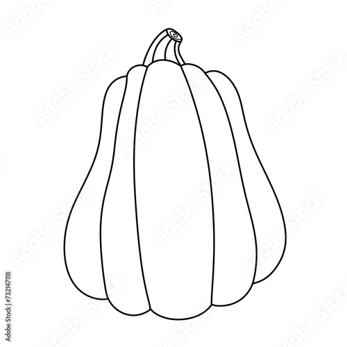 pumpkin line icon. © Boonsub
