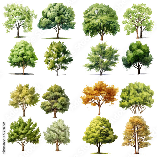 Seasonal Watercolor Tree Set Featuring a Variety of Green to Golden Foliage Collection