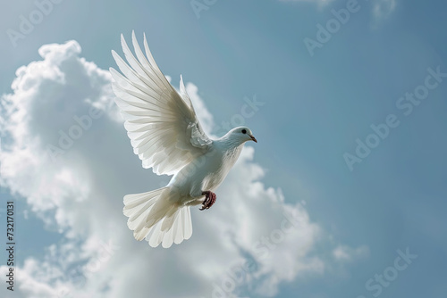 white dove flying on blue sky for freedom concept,international day of peace, No war concept