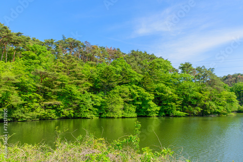 杜の都 仙台の新緑 水の森公園 