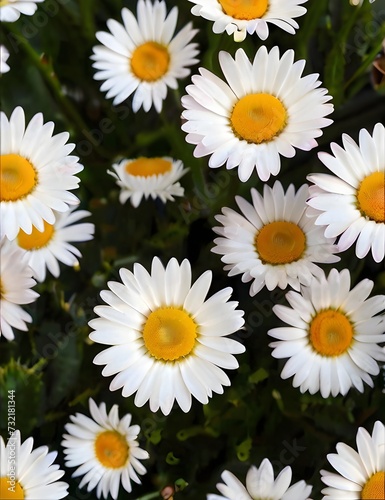 daisies flower background wallpaper Generative AI 