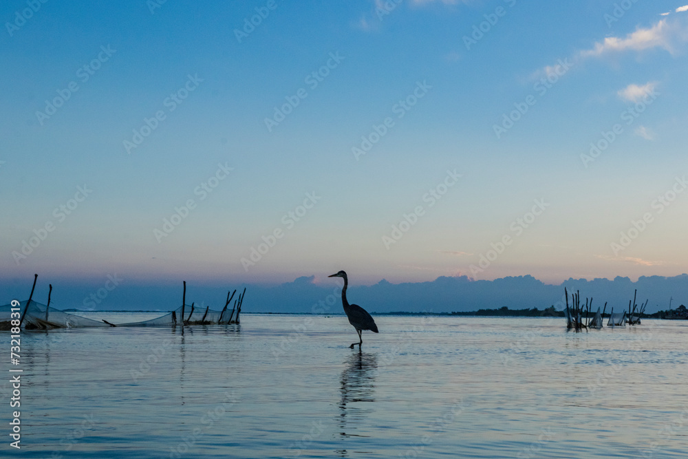 Naklejka premium Paisaje Tropical