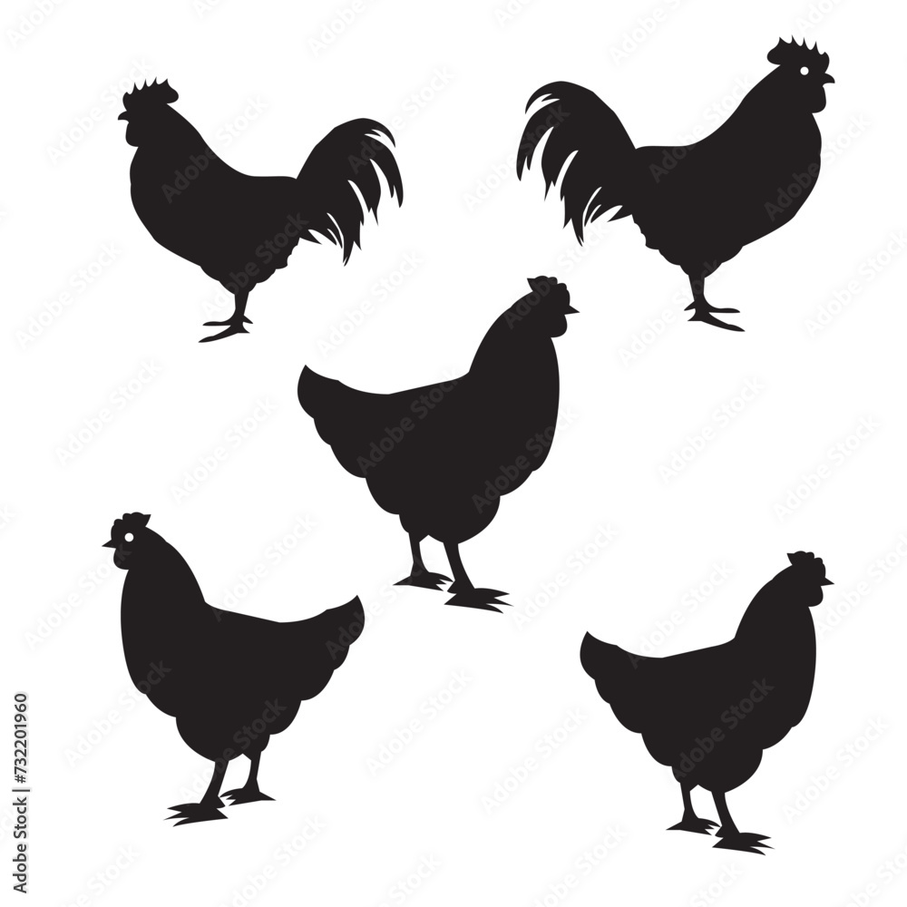Fototapeta premium set of chicken silhouettes