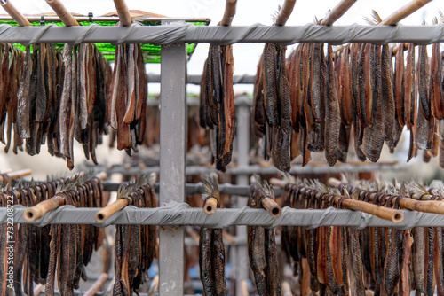 View of drying saury and herring with the wind at the seaside photo