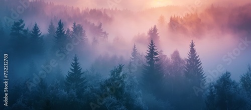 A picturesque natural landscape of a foggy forest with trees, surrounded by an atmospheric dusk and a red sky at morning in the background.
