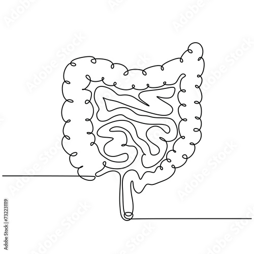 Intestines vector illustration. Human body organ. Continuous one line drawing. Internal digestive system of healthcare.