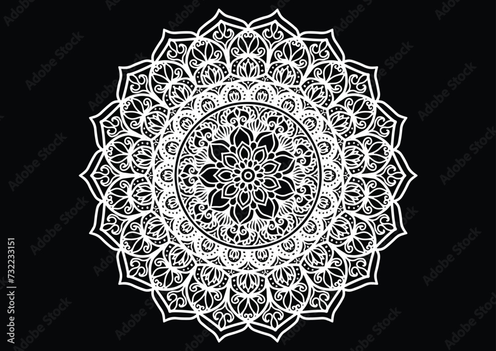 White flower decoration elements on black, Mandala, vintage form, vector, Islamic, Arabian, India, Mo Rokko, Spain, Turkey, Pakistan, China, Mysterious, Ottoman style. It, the image of the picture 