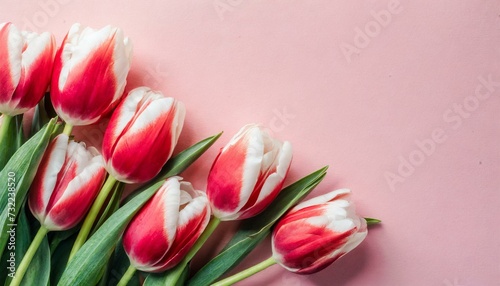 Tulipanes  D  a de la Madre