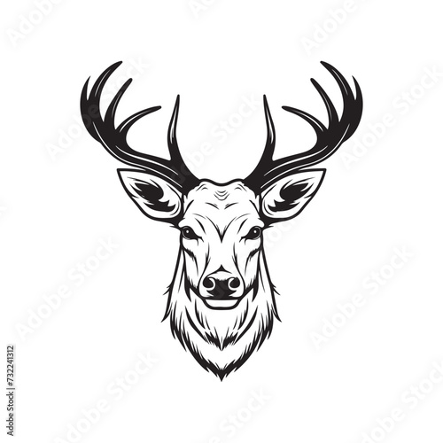 Deer head isolated on white Stock Illustration, Deer head vector