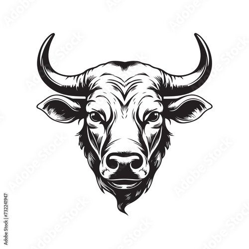 Bull head Vector illustration, on a white background, Portrait of a bull
