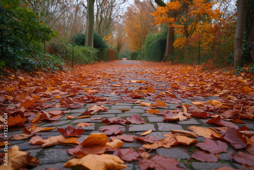 The road covered with fallen sugar maple leaves is surrounded by beautiful nature.