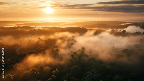 Amazon forest landscape at sunset or sunrise  aerial shot with soft fog in the forest below and sun at horizon. Ai generated