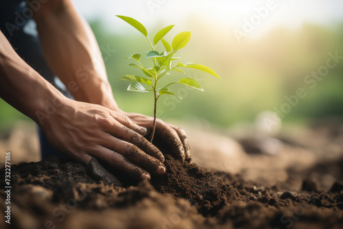Man planting a young tree in fresh soil, the worker has gloves, close up shot, blured background, morning light. Ai generated photo
