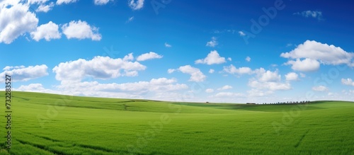 wide view of green grass
