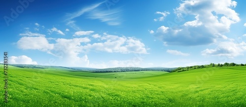 wide view of green grass