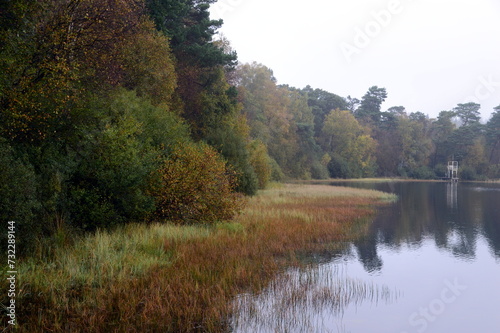 Wallpaper Mural Foggy Morning at Lake Grosser Bullense, Lower Saxony Torontodigital.ca
