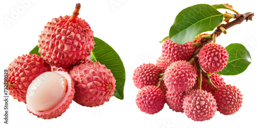 Lychee Fruit Set Isolated on Transparent or White Background, PNG