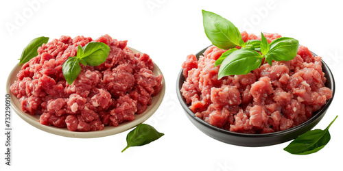 Ground Meat Portion Set Isolated on Transparent or White Background, PNG