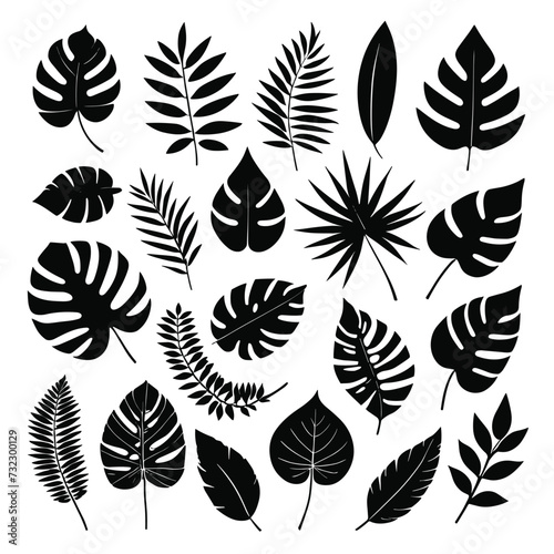 Exotic leaves set tropical leaf collection monstera palm leaves silhouette pack