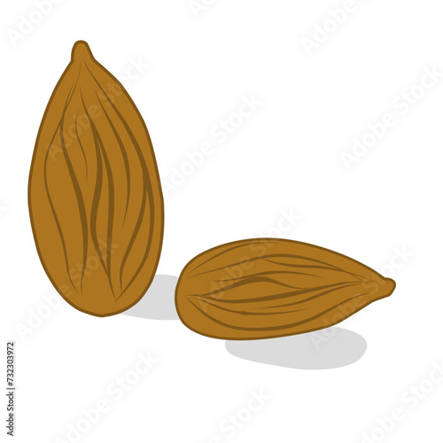 Almond Nut
