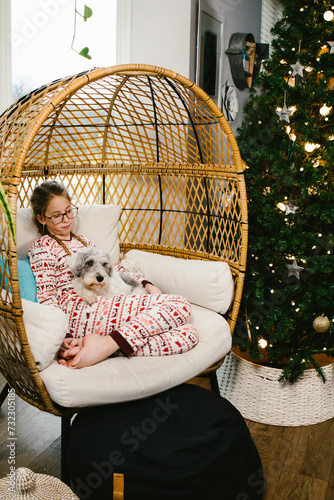 Schnauzer dog sits with girl in basket chair with Christmas tree photo