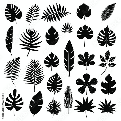 Exotic tropical leaves set silhouette collection vector illustration