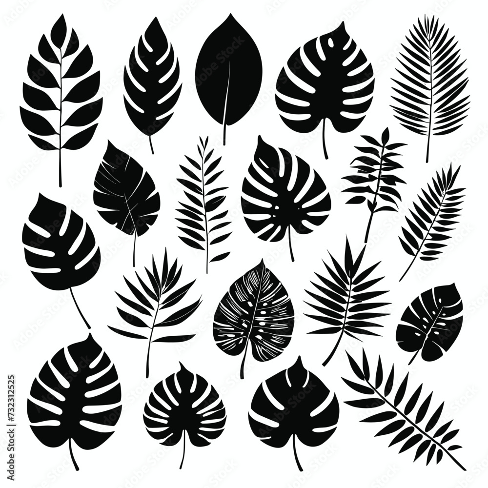 Fototapeta premium Exotic tropical leaves set silhouette collection vector illustration