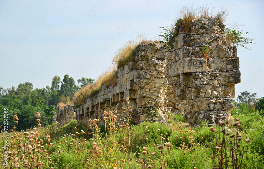 Obraz premium Anavarza Ancient City in Adana, Turkey.
